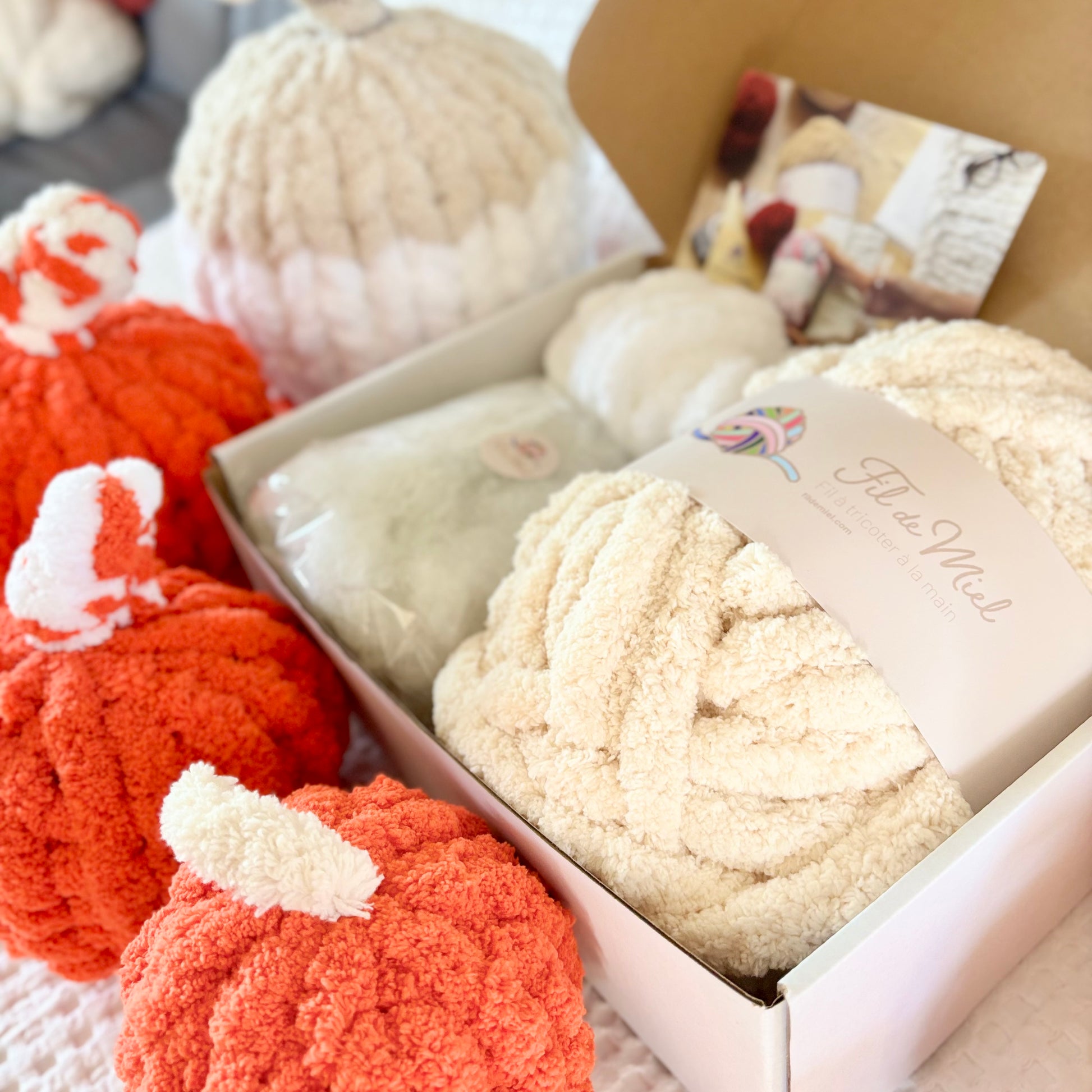 Kit Citrouille Créatif – Spécial Halloween