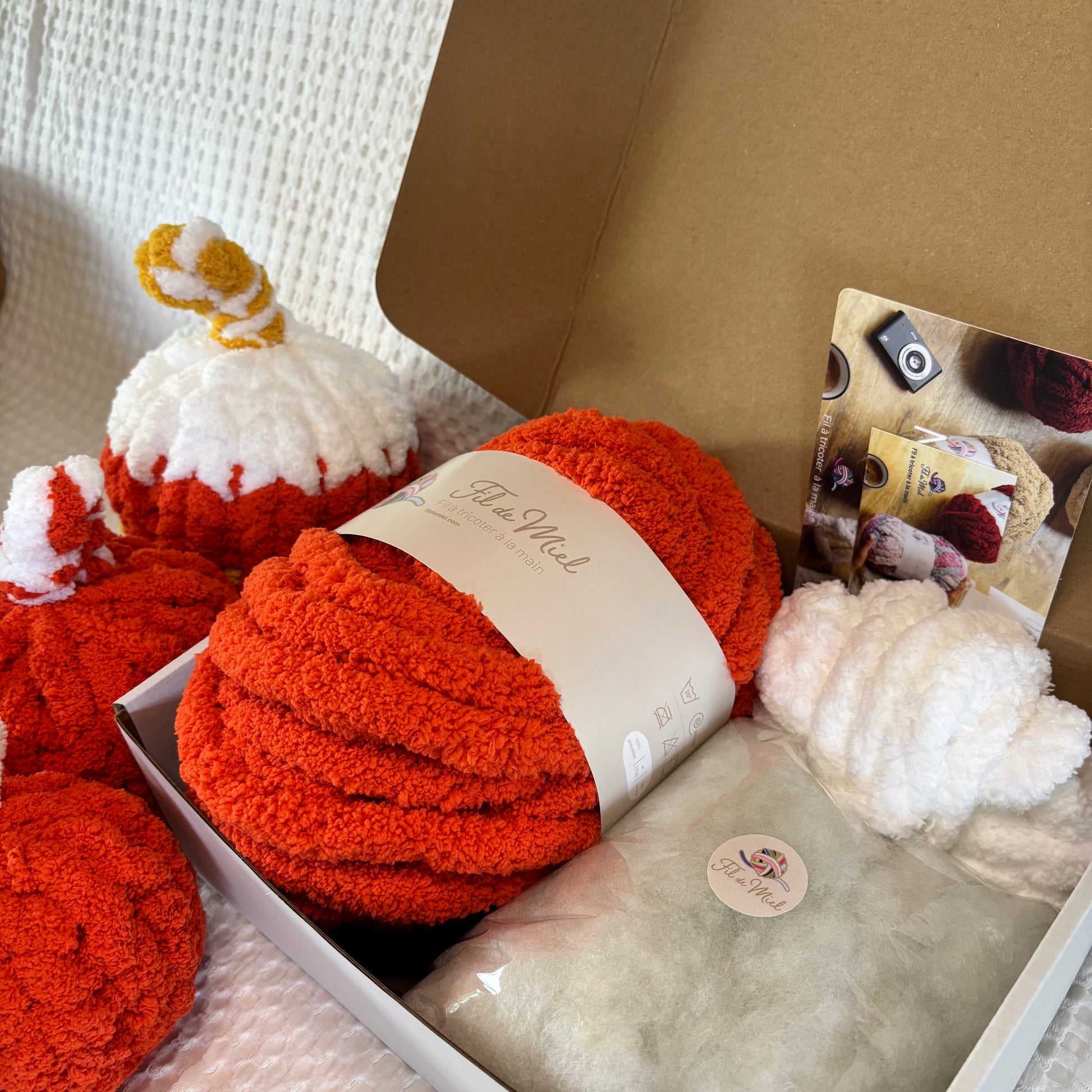 Kit Citrouille Créatif – Spécial Halloween