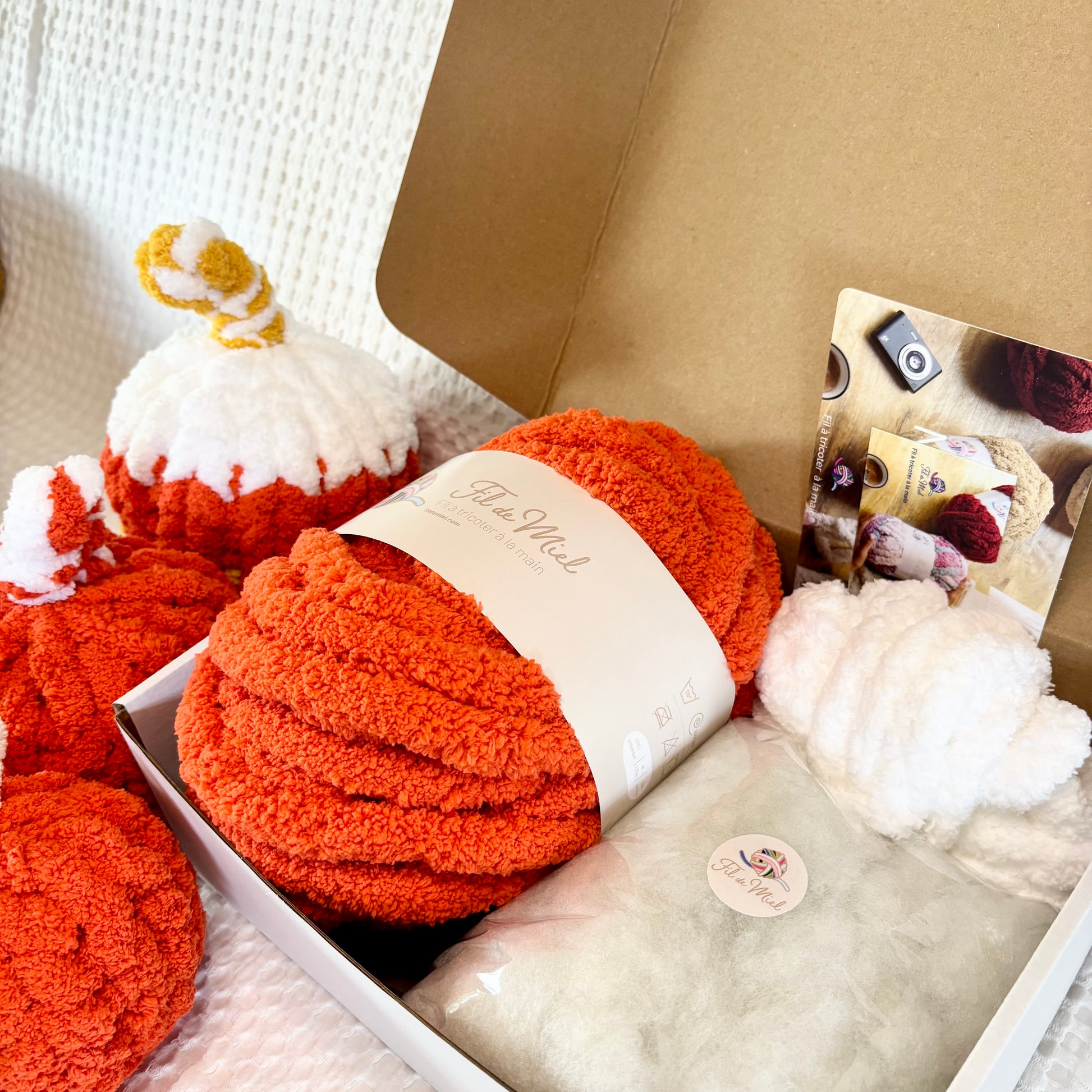 Kit Citrouille Créatif – Spécial Halloween