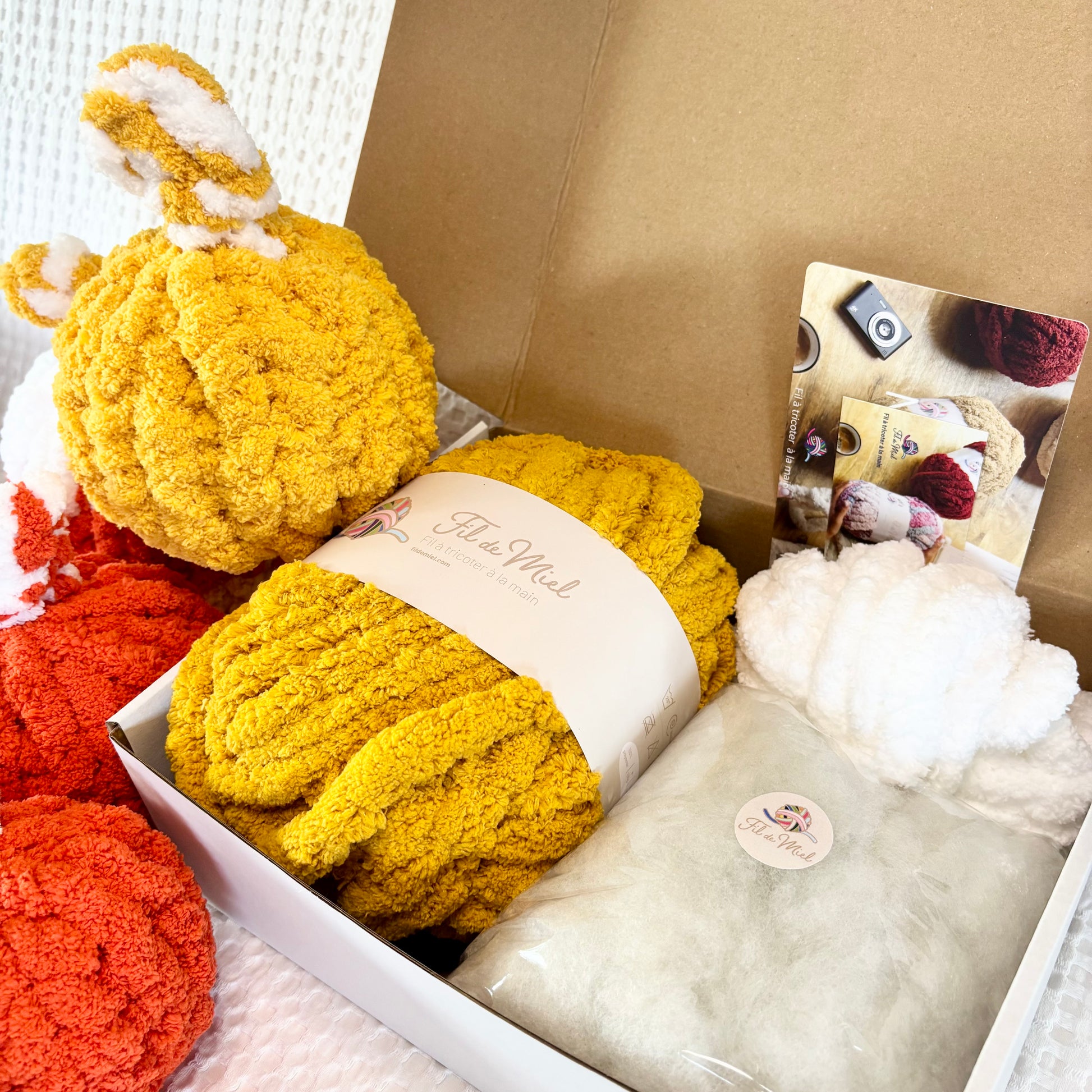 Kit Citrouille Créatif – Spécial Halloween