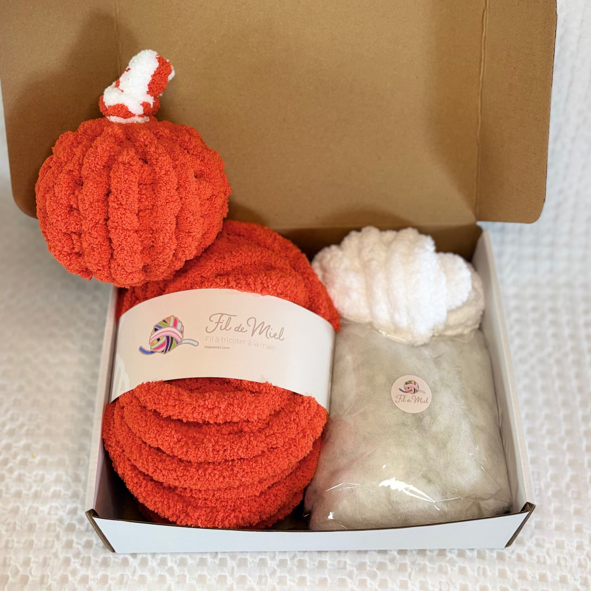 Kit Citrouille Créatif – Spécial Halloween