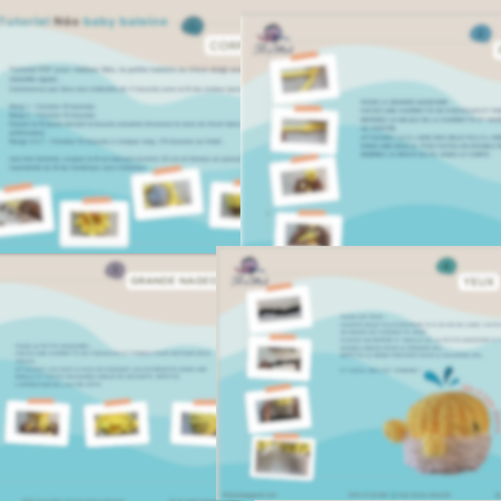 Tutoriel - cours débutant – Néo la baleine